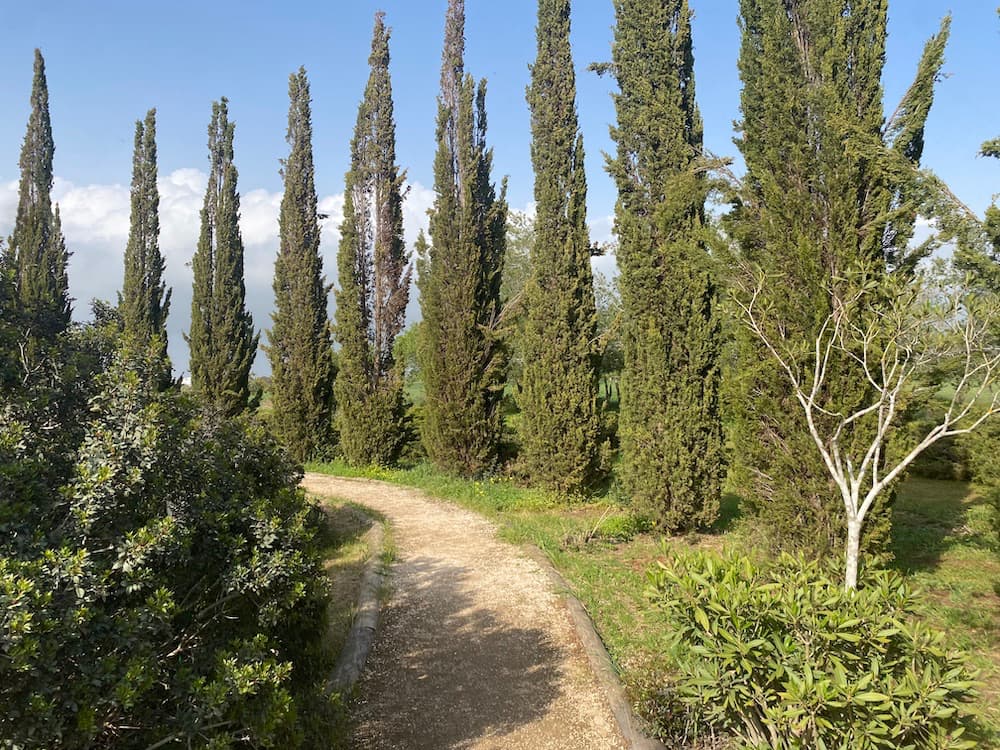 You are currently viewing ‘Watchfulness and prayer’: Christ Church marks start of Triduum