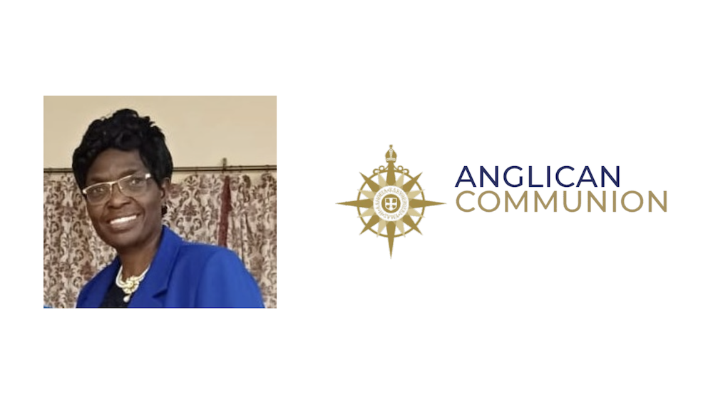 You are currently viewing Revd Christine joins IAFN steering committee