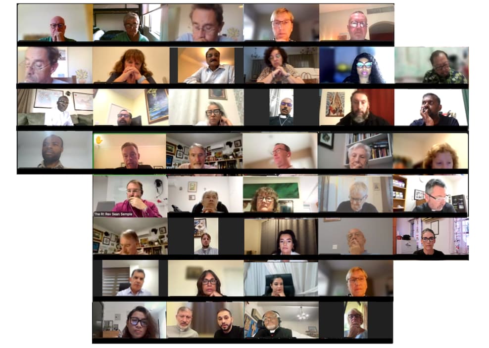 You are currently viewing Synod members meet online